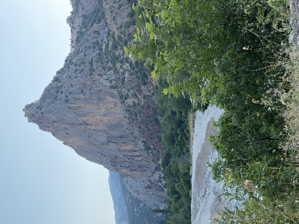 müjgan gözüm