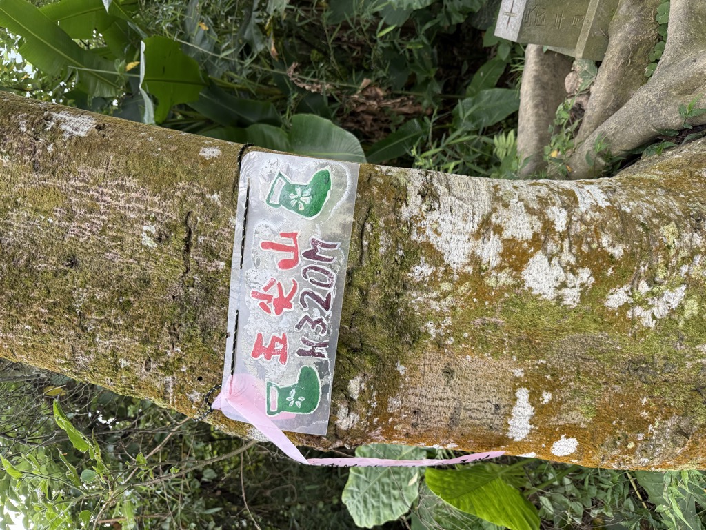 蘇慶怡