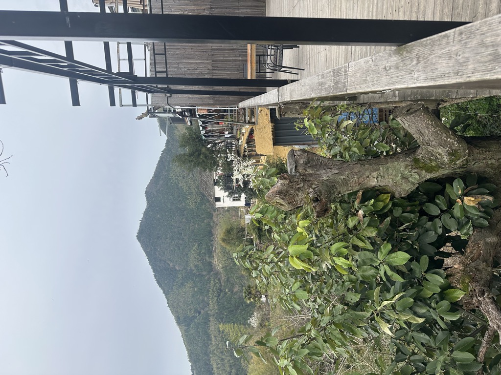 赵鑫