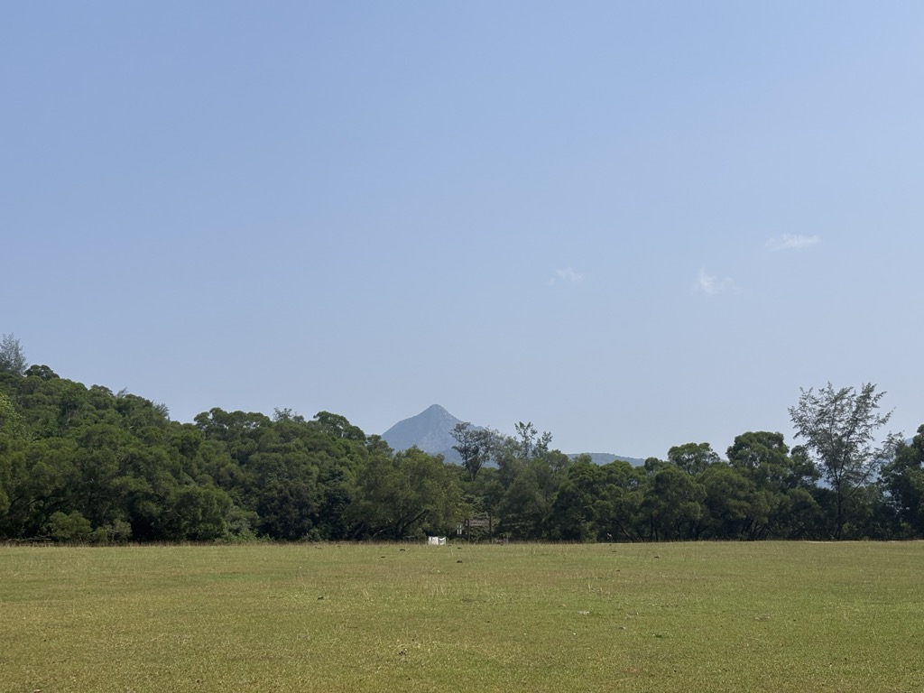 Palomar