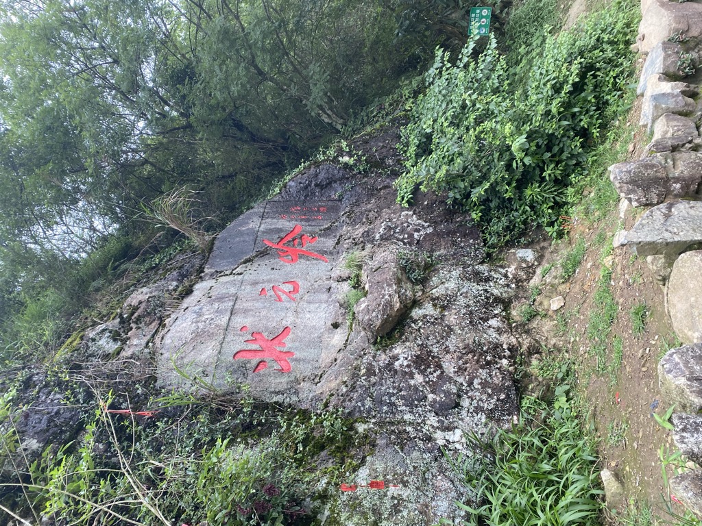 泉可可