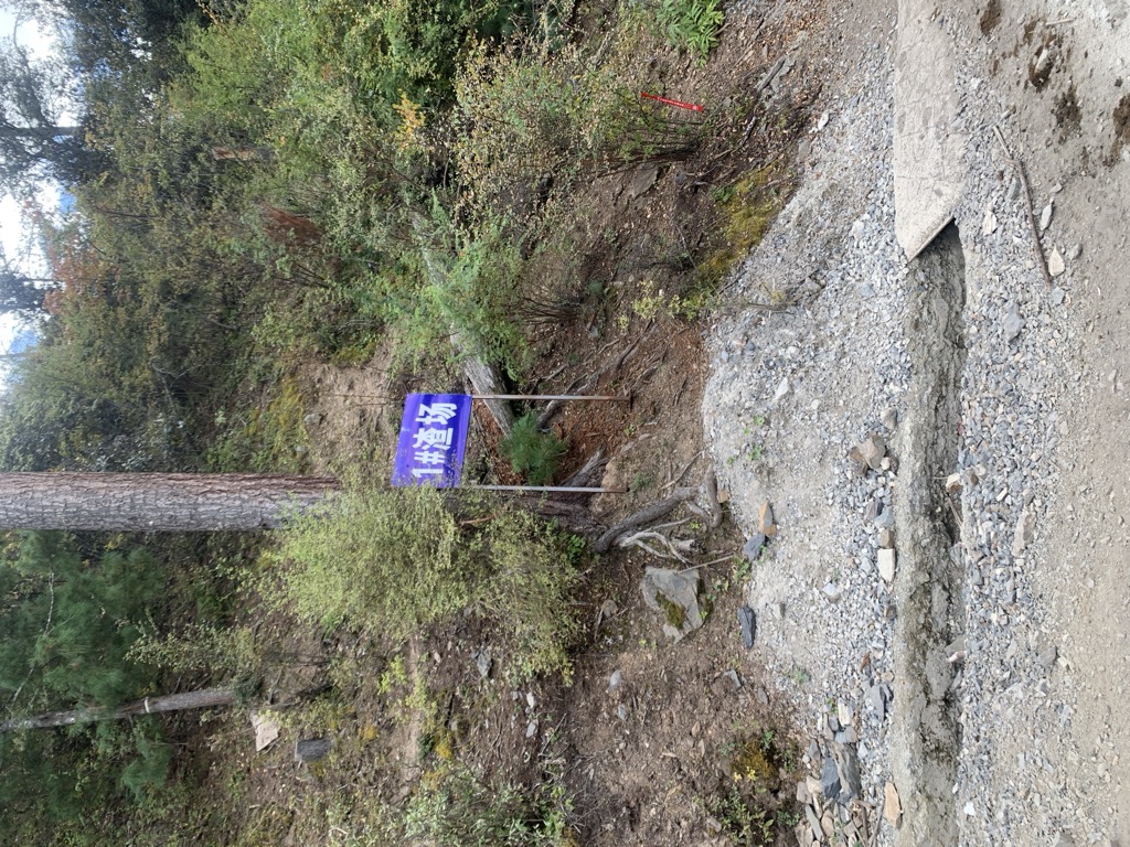 汪岗