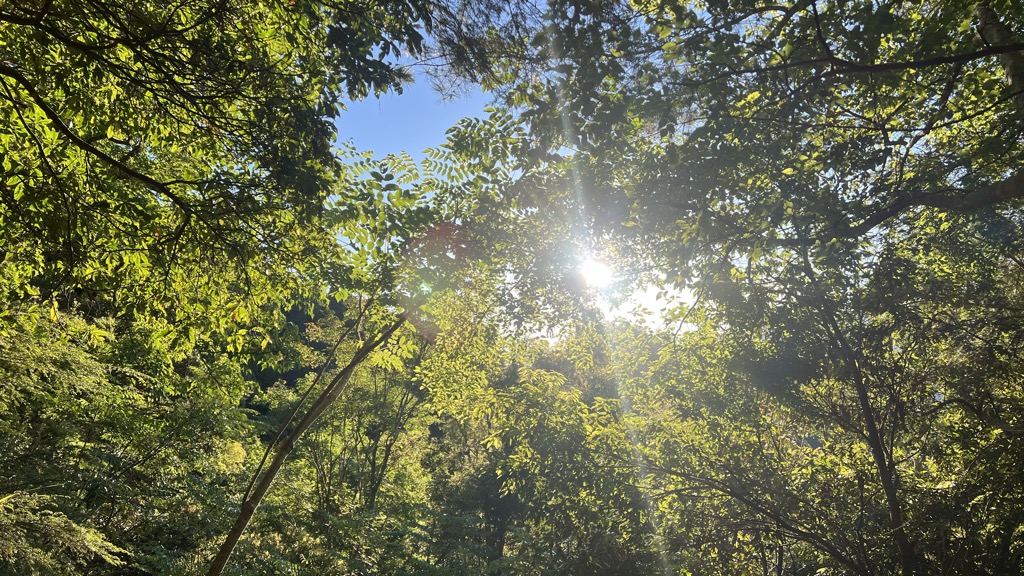 林岳欣