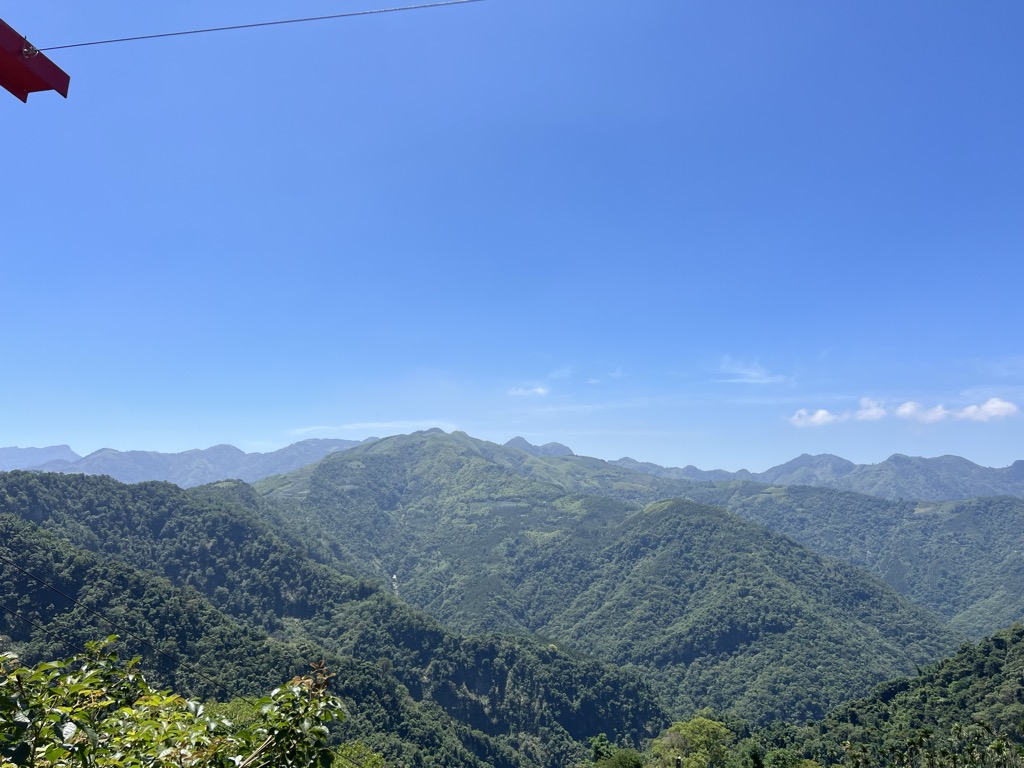 張馨文