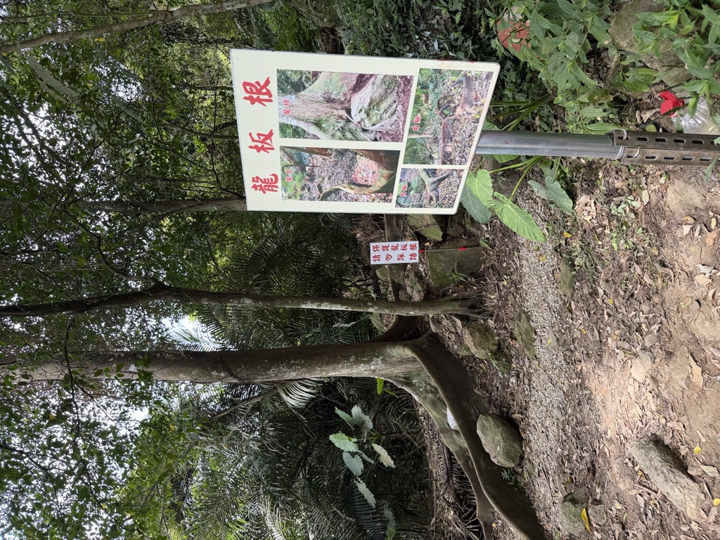 邱泓勳