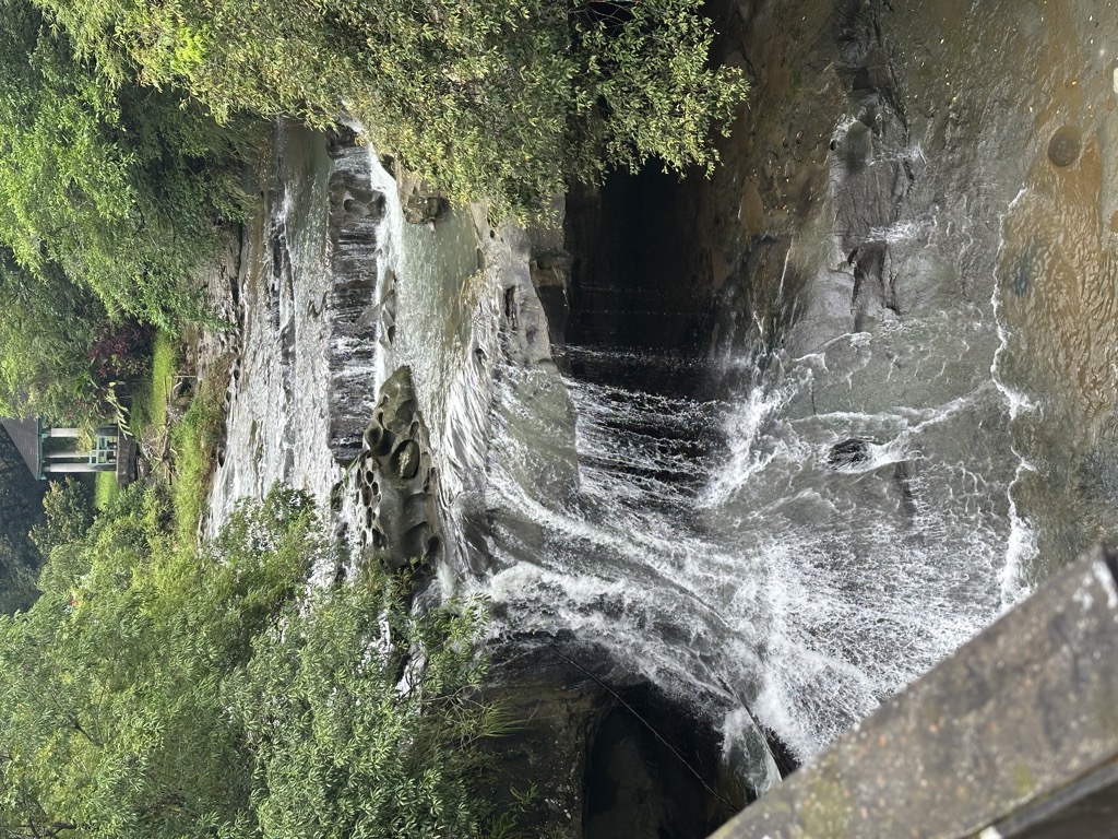 校世芬
