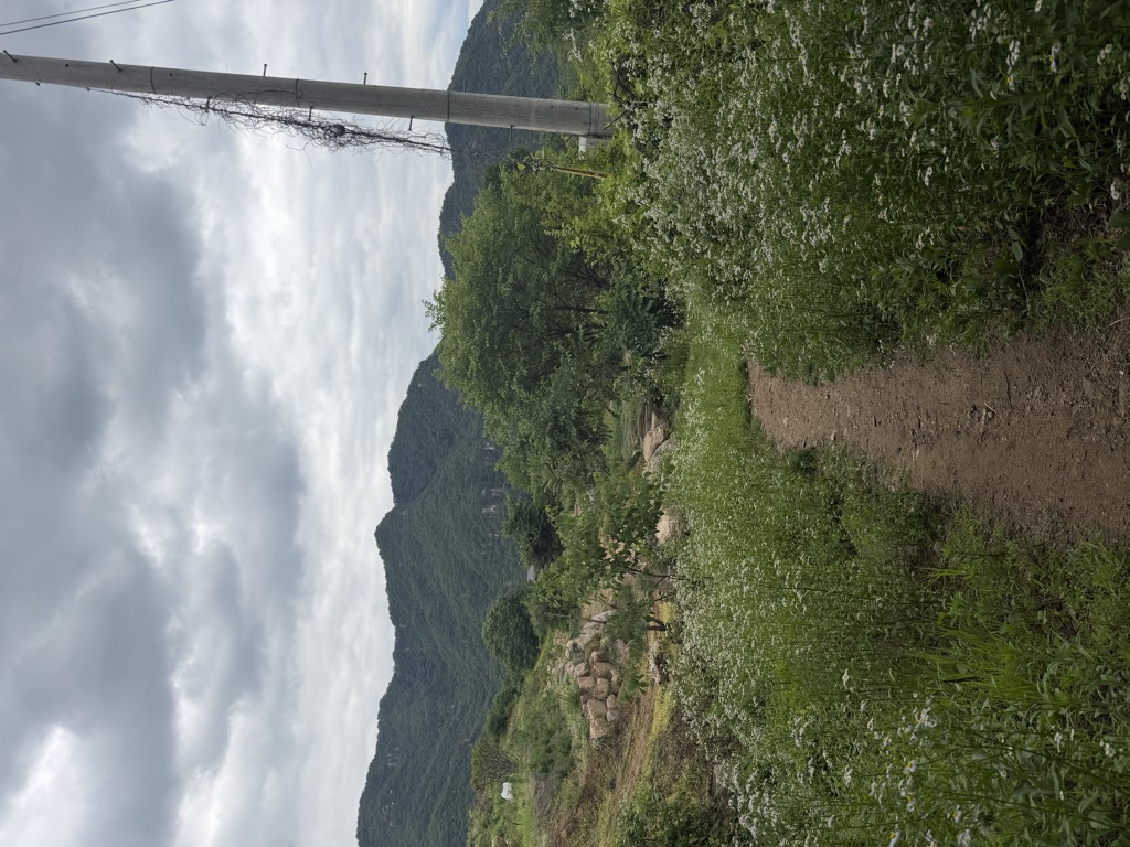 Seongbo Ko