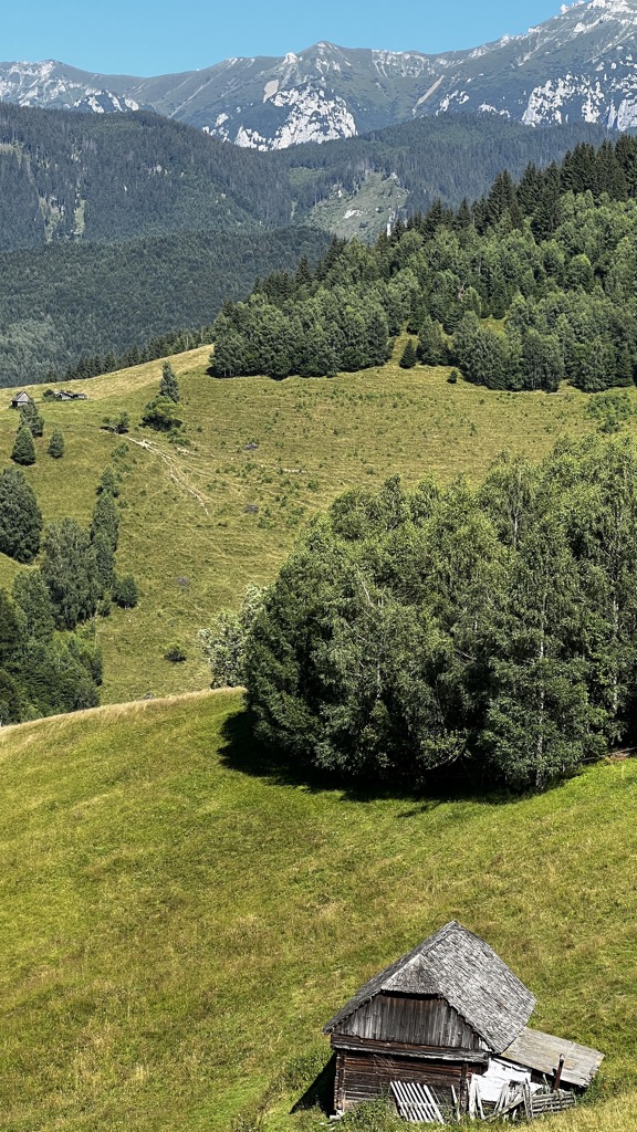SORIN AGAFITEI