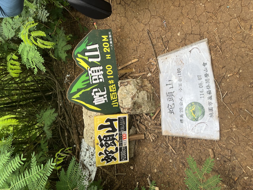 顏合隆