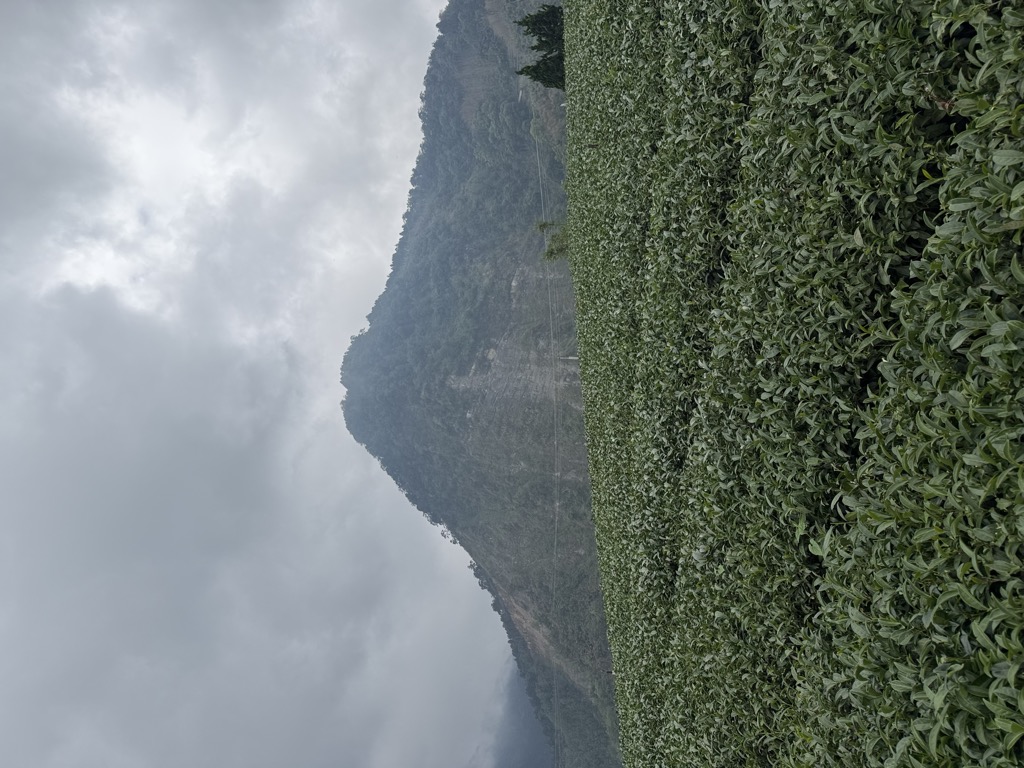 方壯剛