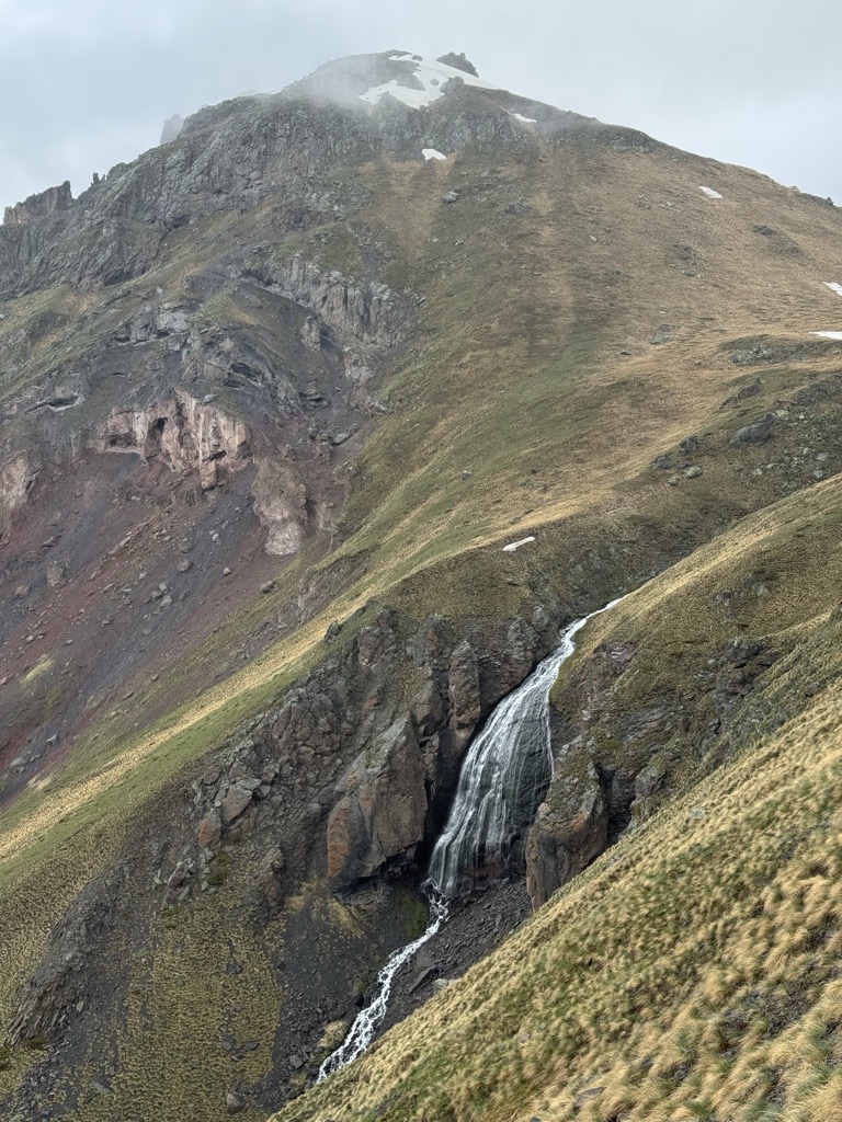 Александр Тарасов