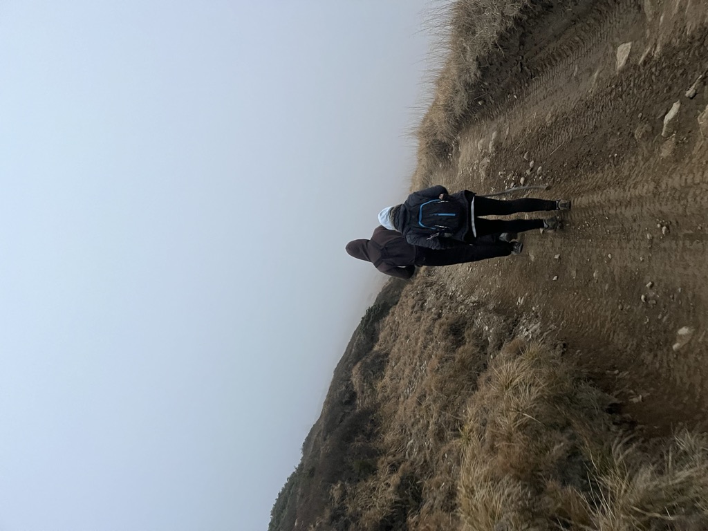 Тіна Веремейчик
