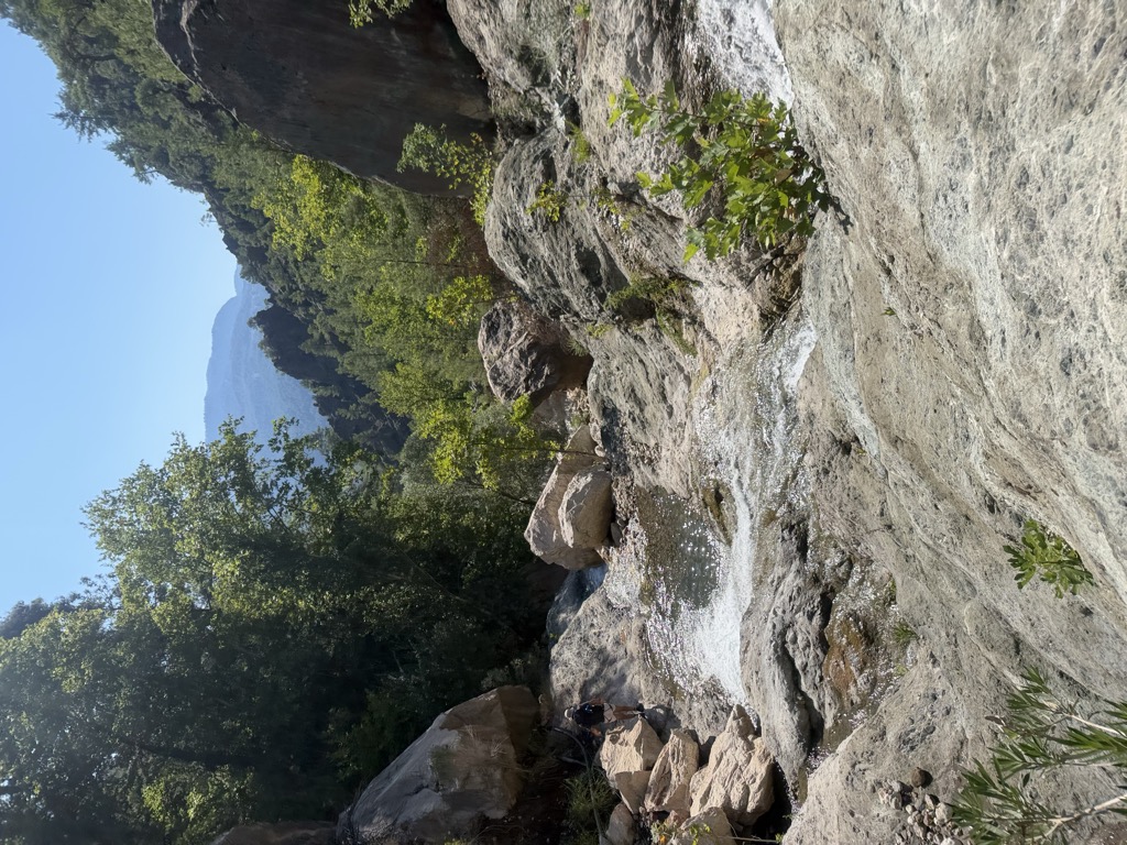 müjgan gözüm