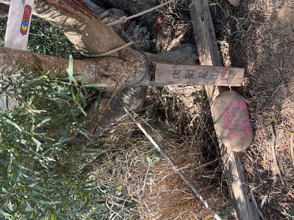 林永中