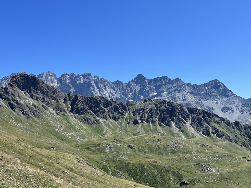 Stefano Dall'Asta