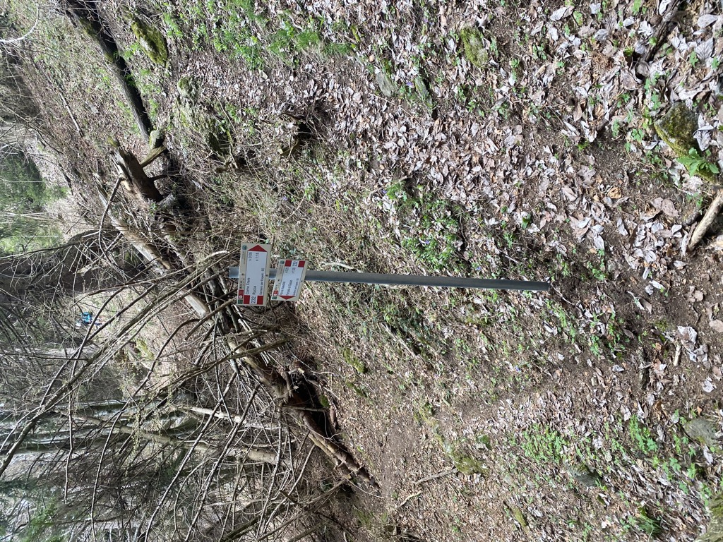 Michele Beretta