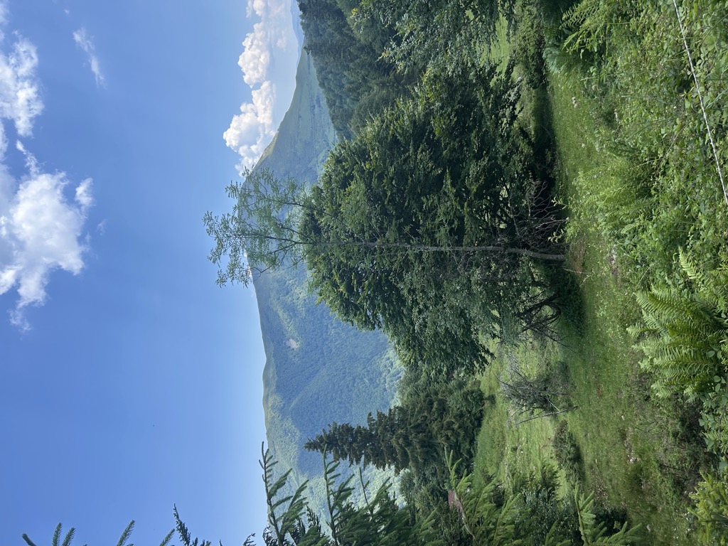 Esprit Pyrénées 