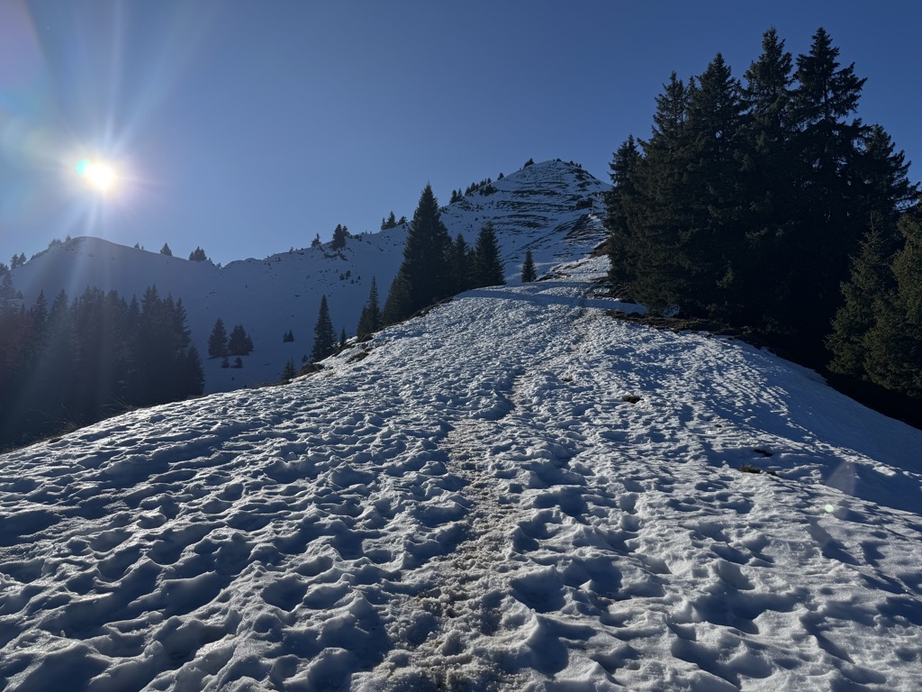 Jürgen Hoffmann