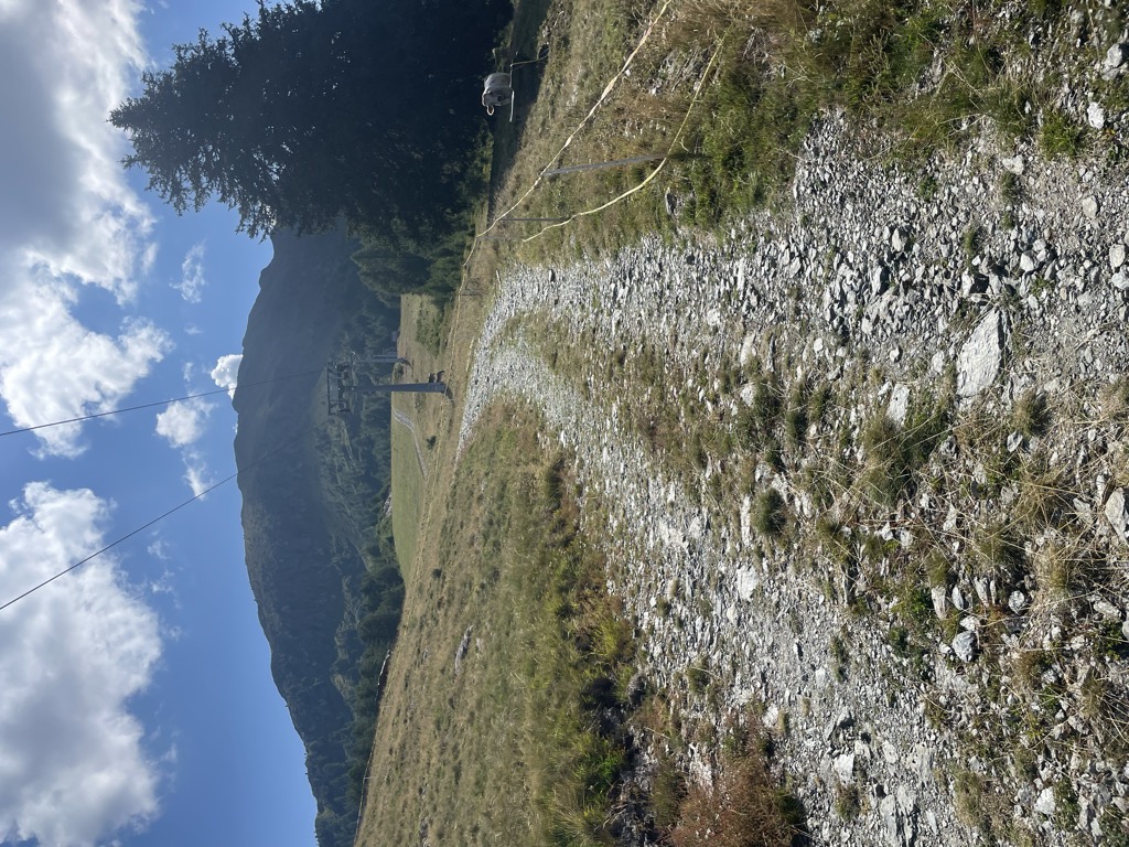Spezialbi