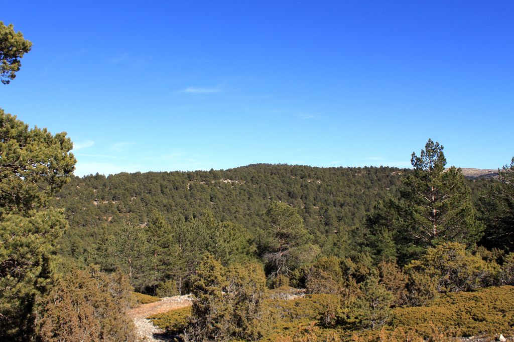 Photo №1 of Alto de las Barracas