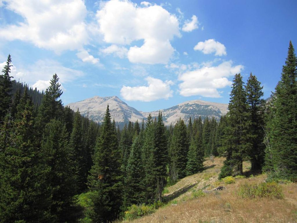 Photo №1 of Bannock Peak