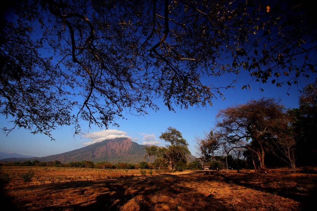 Photo №2 of Gunung Baluran