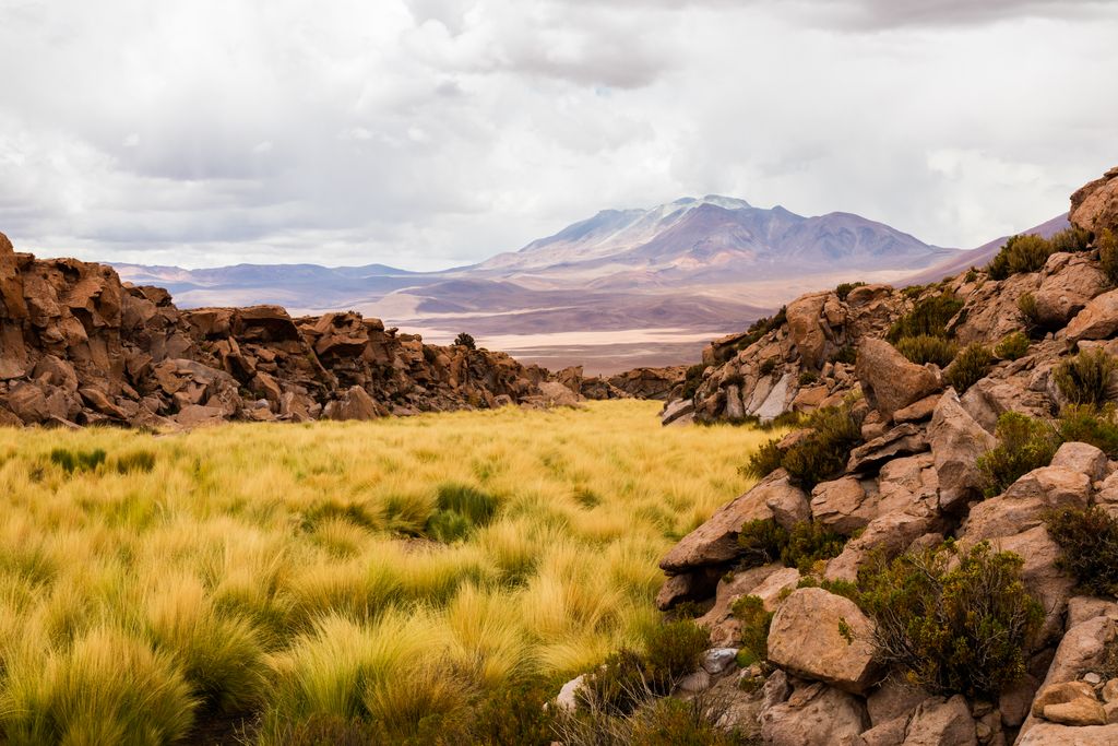 Photo №1 of Cerro Tres Rayas