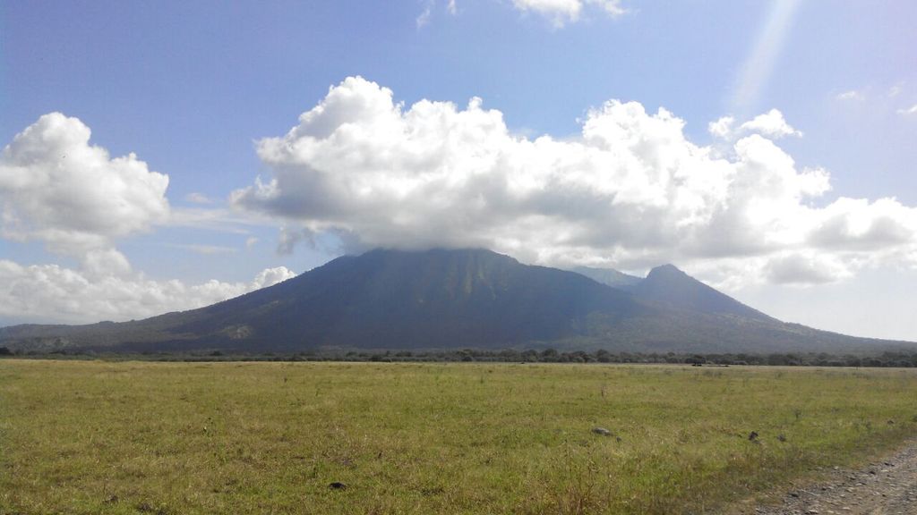 Photo №1 of Gunung Baluran