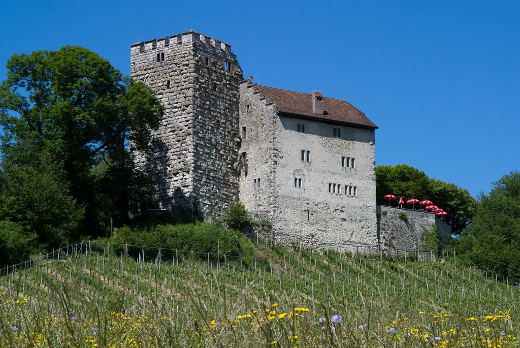 Photo №1 of Wülpelsberg (Habsburg)