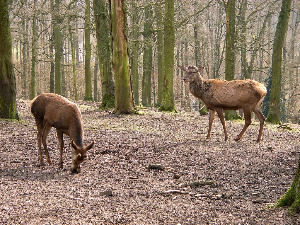 Photo №2 of Hülser Berg