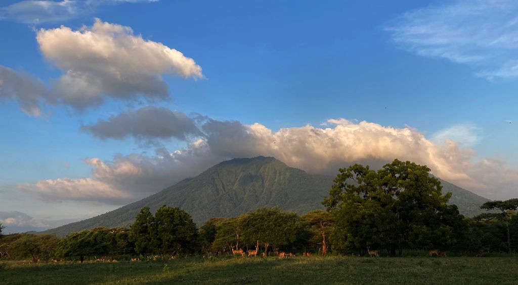 Photo №4 of Gunung Baluran