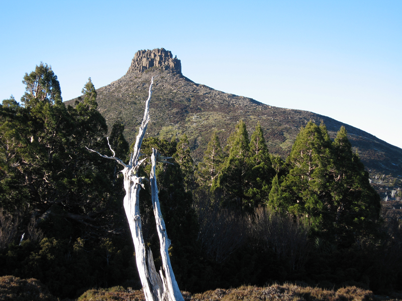 Photo №1 of Mount Pelion East