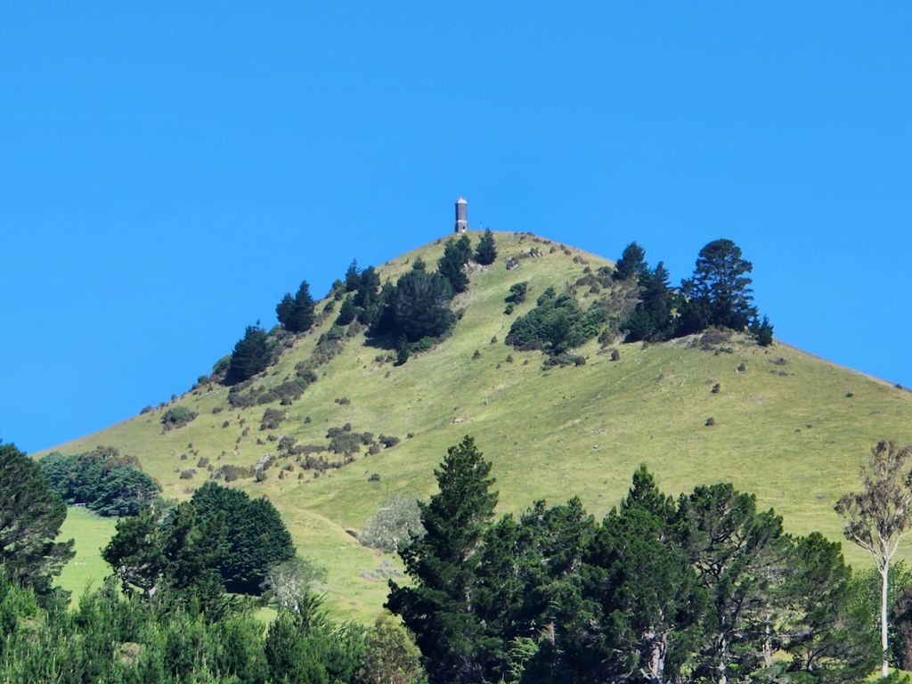 Photo №1 of Puketapu