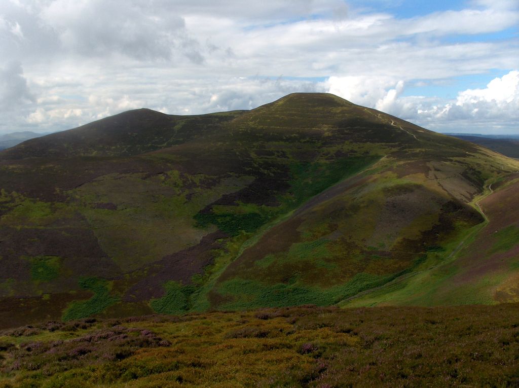 Photo №1 of Scald Law