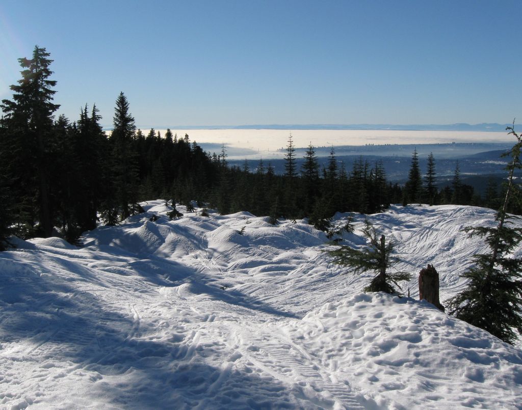 Photo №2 of Coquitlam Mountain