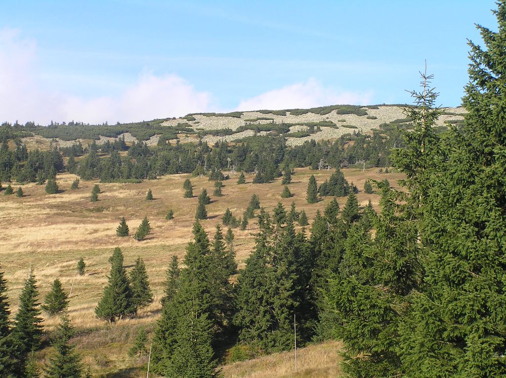 Photo №1 of Zadní Planina